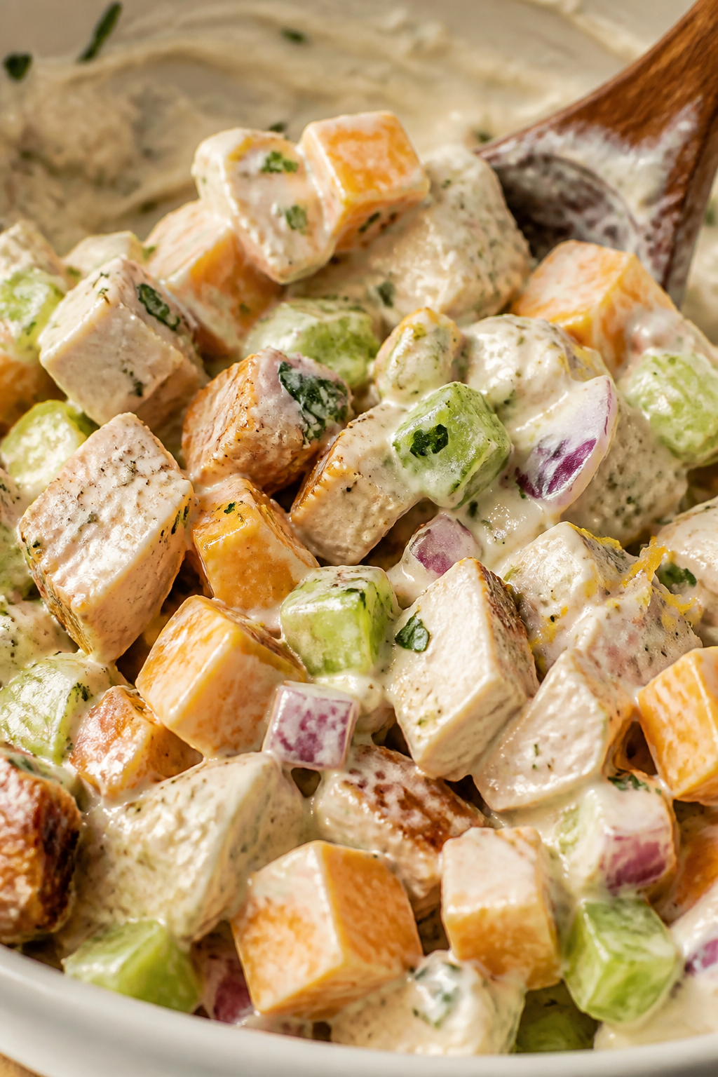 Close-up detail – creamy dressing coating chicken and cheddar: Macro shot of diced grilled chicken